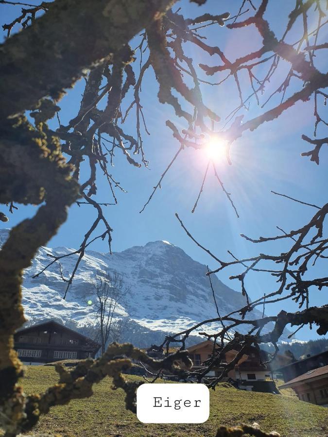Chalet Waergistal Grindelwald Exterior foto