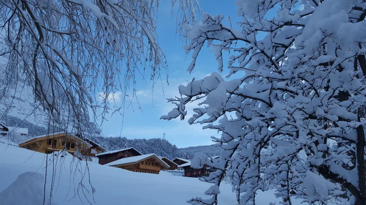 Chalet Waergistal Grindelwald Exterior foto